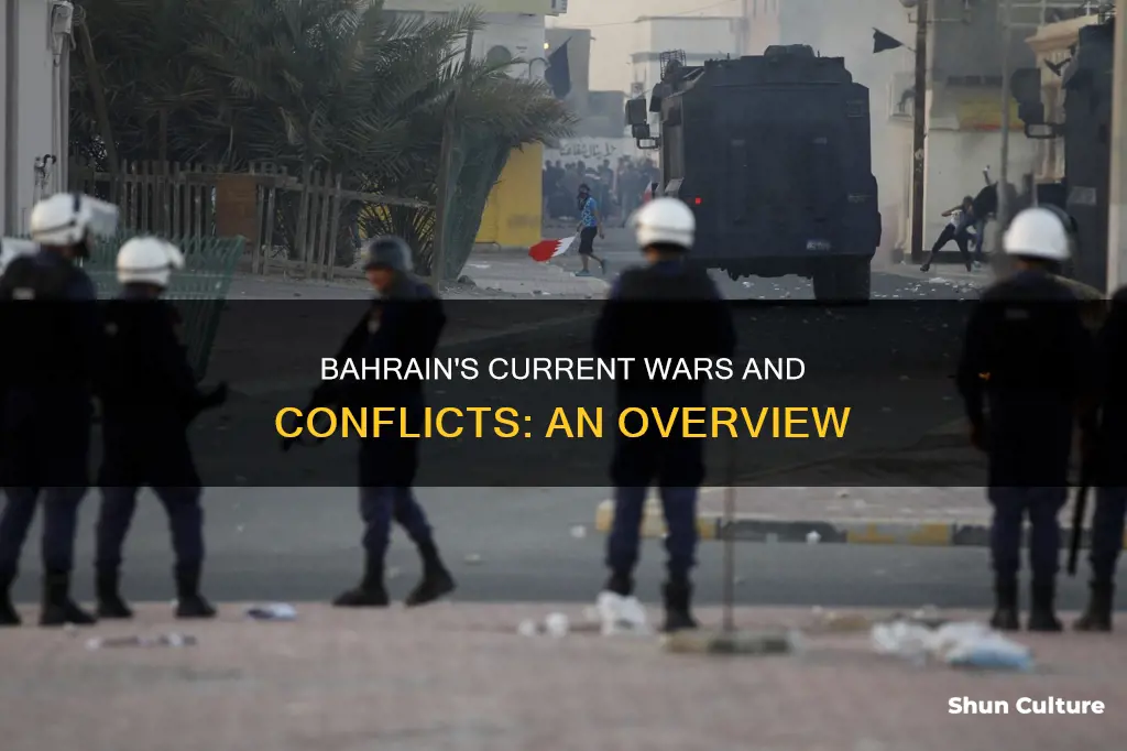 is bahrain in any wars right now