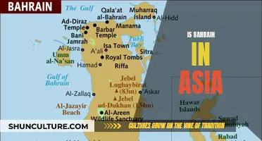 Bahrain: An Asian Country? Exploring Geography and Culture