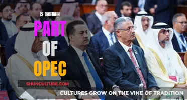 Bahrain's Role in OPEC: A Key Member?