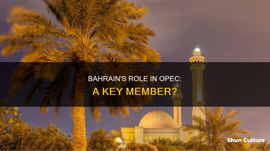 is bahrain part of opec