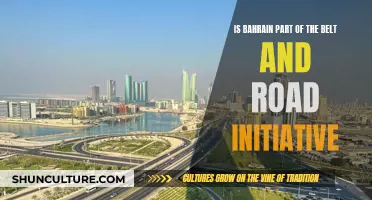 Bahrain's Belt and Road Initiative: A Strategic Partnership