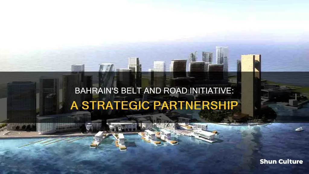 is bahrain part of the belt and road initiative