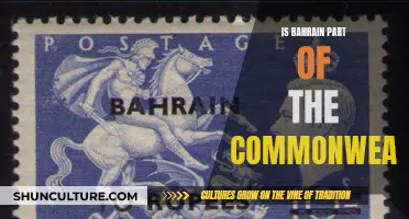 Bahrain's Commonwealth Membership: Understanding the Country's Status