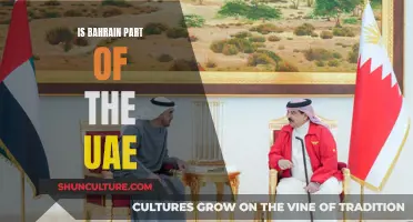 Exploring Bahrain's Relationship with the UAE: A Unique Dynamic