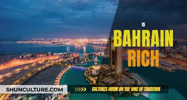 Bahrain's Wealth: Rich Country, Rich People?