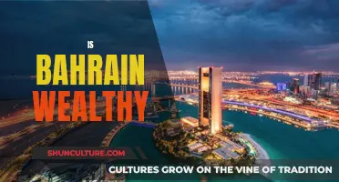 Bahrain's Wealth: A Rich Country in the Middle East?