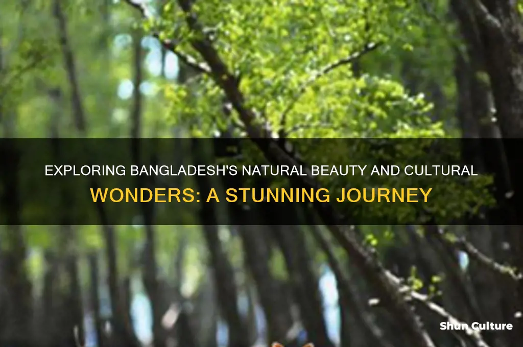 is bangladesh a beautiful country