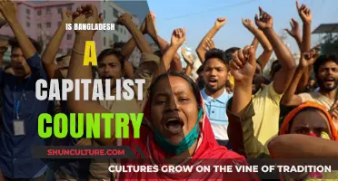 Exploring Bangladesh's Economic System: Capitalism or Mixed Economy?