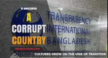 Bangladesh Corruption: Unveiling Truths, Challenges, and Paths to Transparency