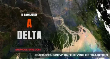 Exploring Bangladesh's Unique Geography: Is It Truly a Delta Nation?
