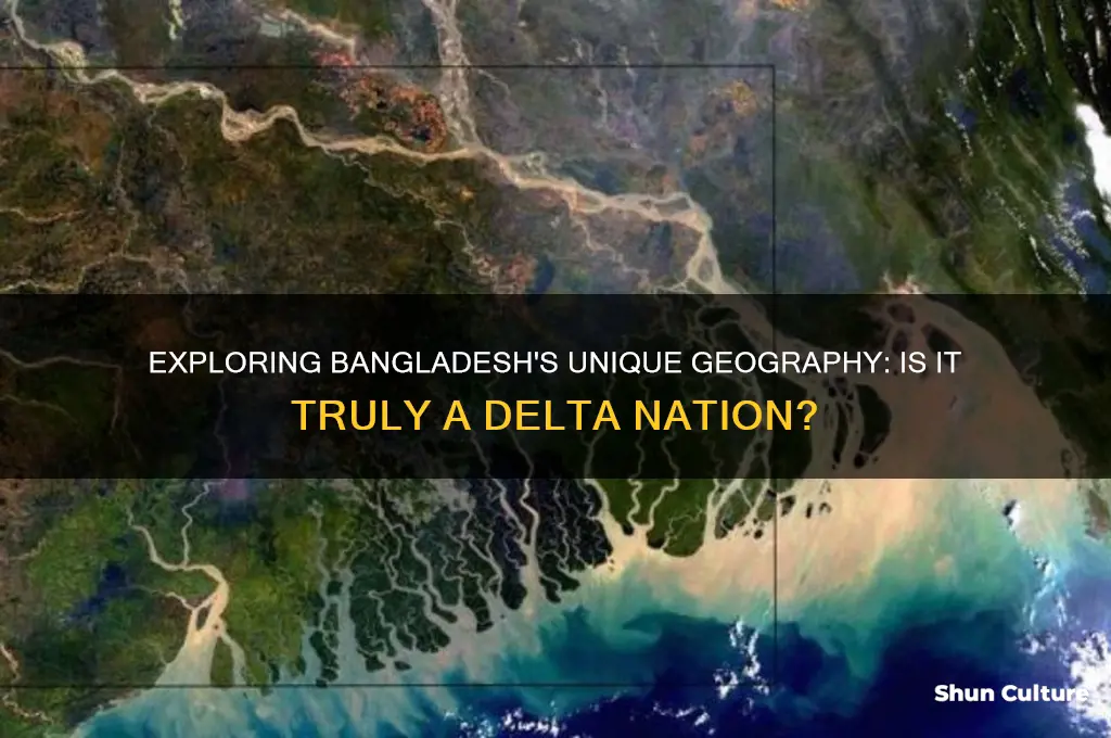 is bangladesh a delta