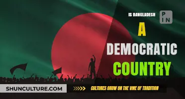 Exploring Bangladesh's Democracy: A Critical Analysis of Its Political System
