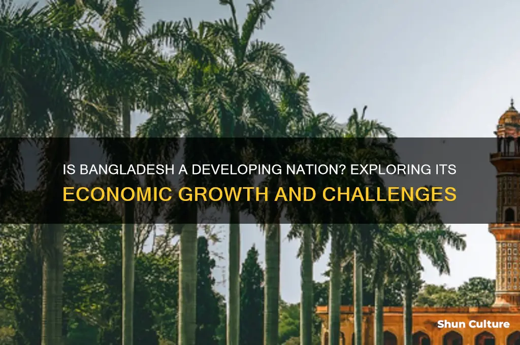 is bangladesh a develo