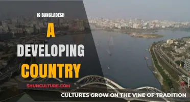 Is Bangladesh a Developing Country? Exploring Economic Growth and Challenges