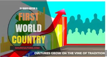 Is Bangladesh a First World Country? Exploring Its Economic and Social Standing