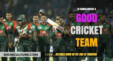 Bangladesh Cricket: Rising Tigers or Underrated Contenders?