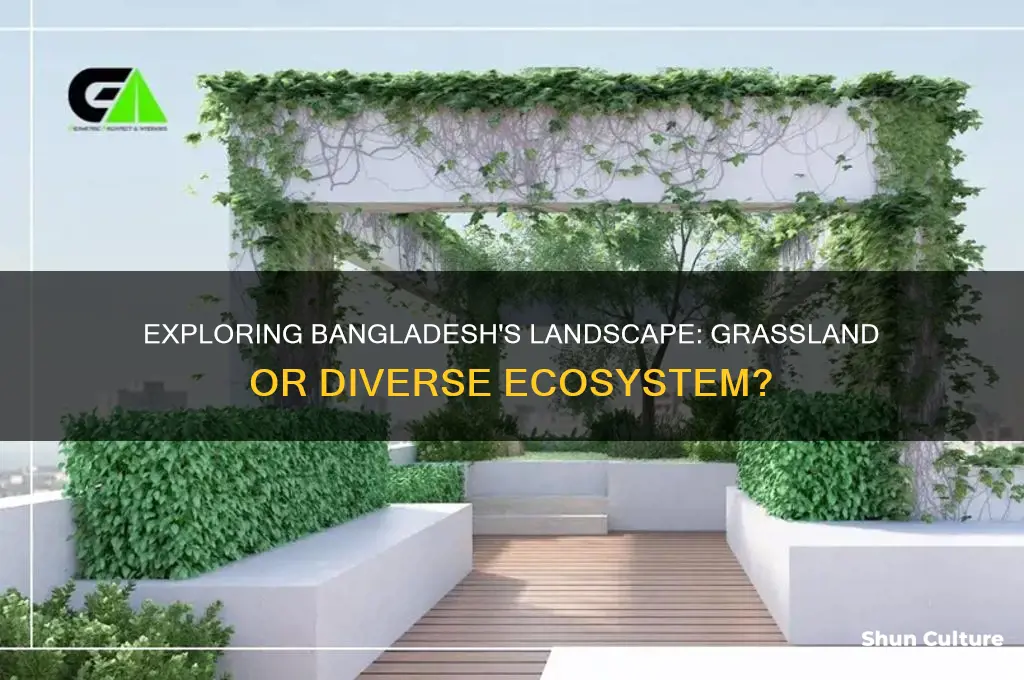 is bangladesh a grassland