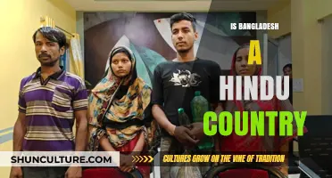 Exploring Bangladesh's Religious Identity: Is It a Hindu Nation?