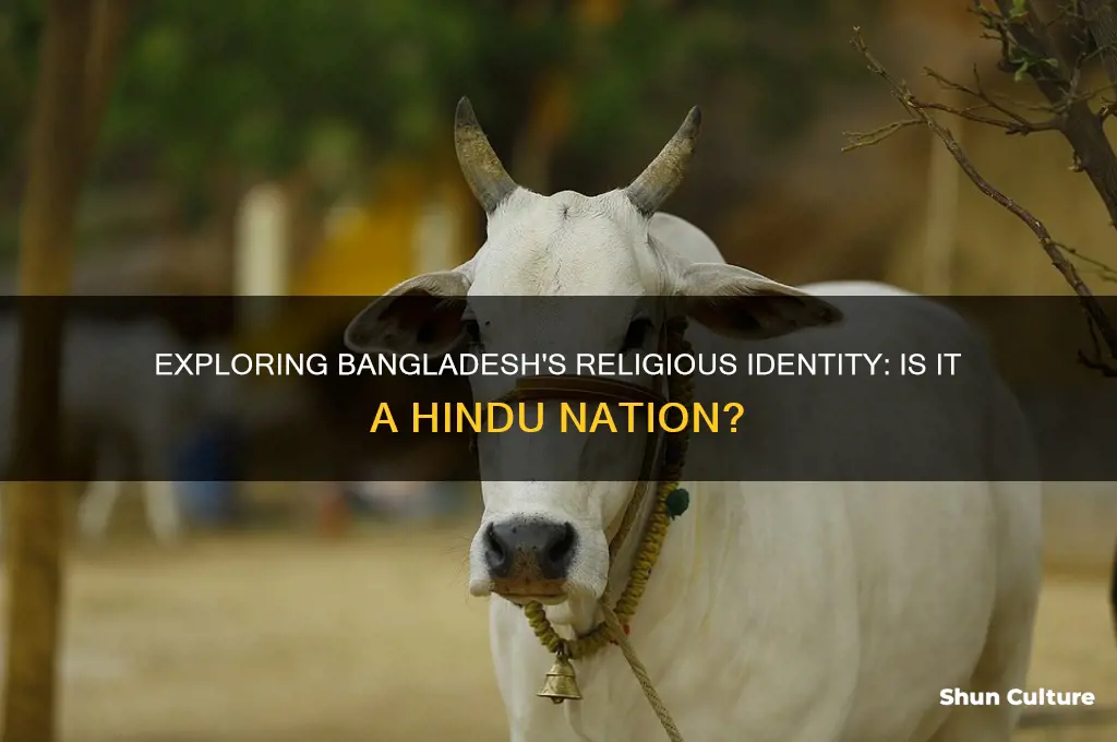 is bangladesh a hindu country