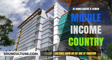 Is Bangladesh a Lower Middle-Income Country? Exploring Economic Realities