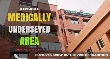 Bangladesh's Healthcare Crisis: Exploring Underserved Medical Realities and Challenges