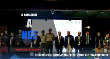 Exploring Bangladesh's Economic Status: Is It a Newly Emerging Economy?