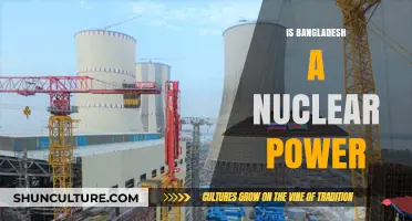 Bangladesh's Nuclear Ambitions: Power, Potential, and Global Implications