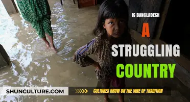 Bangladesh's Struggles: Navigating Challenges Amidst Progress and Potential