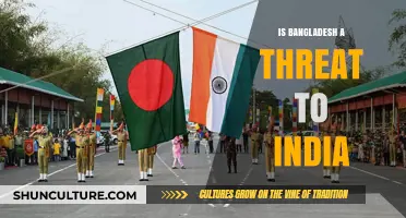 Bangladesh-India Relations: Assessing Security Threats and Diplomatic Dynamics