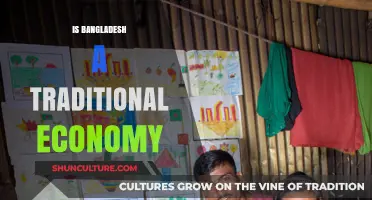 Exploring Bangladesh's Economic Model: Traditional or Transitioning?