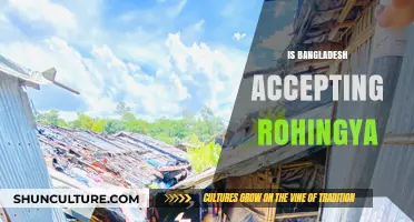 Bangladesh's Rohingya Crisis: Humanitarian Response and Challenges Explored