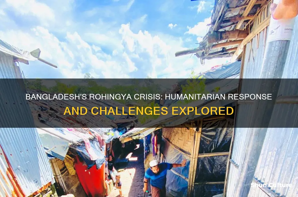 is bangladesh accepting rohingya