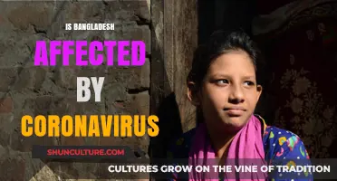 Bangladesh's Battle: COVID-19 Impact, Challenges, and Resilience Amid Pandemic
