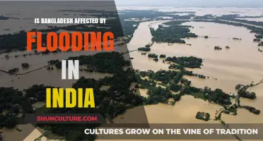 How India's Flooding Impacts Bangladesh: Causes and Consequences