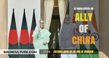 Bangladesh-China Relations: Strategic Partnership or Unequal Alliance?