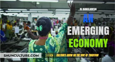 Bangladesh's Economic Rise: An Emerging Market Success Story Unveiled