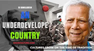 Is Bangladesh Underdeveloped? Exploring Economic and Social Indicators