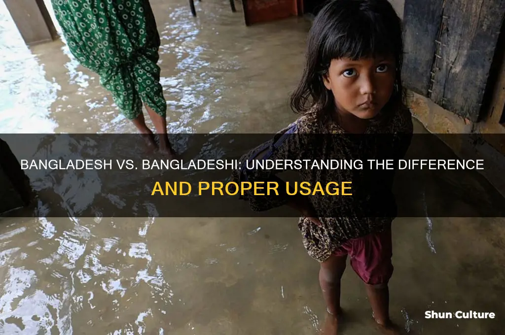 is bangladesh and bangldeshi the same thing