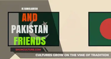 Bangladesh and Pakistan: A Complex Friendship or Distant Allies?