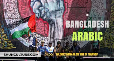 Is Bangladesh Arabic? Unraveling Cultural and Linguistic Misconceptions