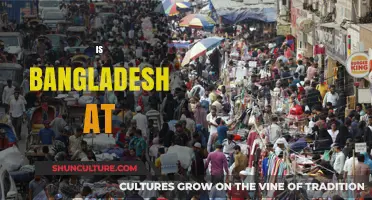 Is Bangladesh at a Crossroads: Challenges and Opportunities Ahead