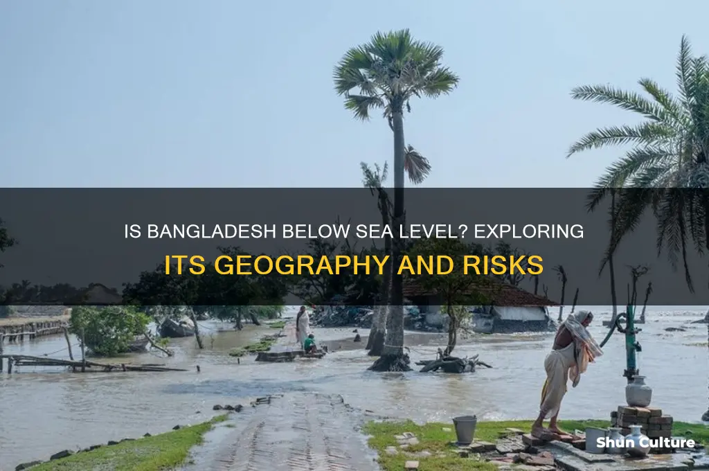 is bangladesh below sea level