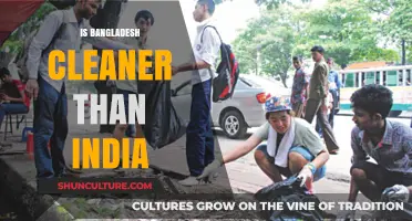 Bangladesh vs. India: Which Country is Cleaner and Why?