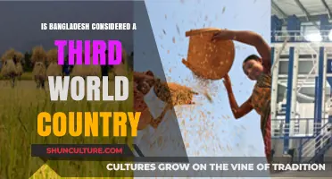 Is Bangladesh a Third World Country? Exploring Its Global Standing