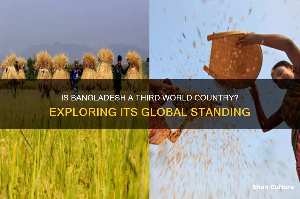 is bangladesh considered a third world country