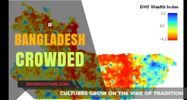 Is Bangladesh Crowded? Exploring Population Density and Urban Challenges