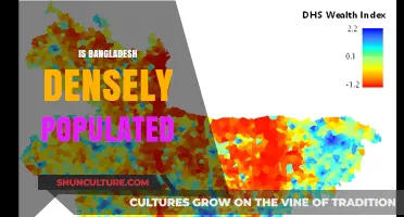 Exploring Bangladesh's Population Density: Is It One of the World's Densest?