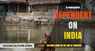 Is Bangladesh Dependent on India? Analyzing Economic and Political Ties