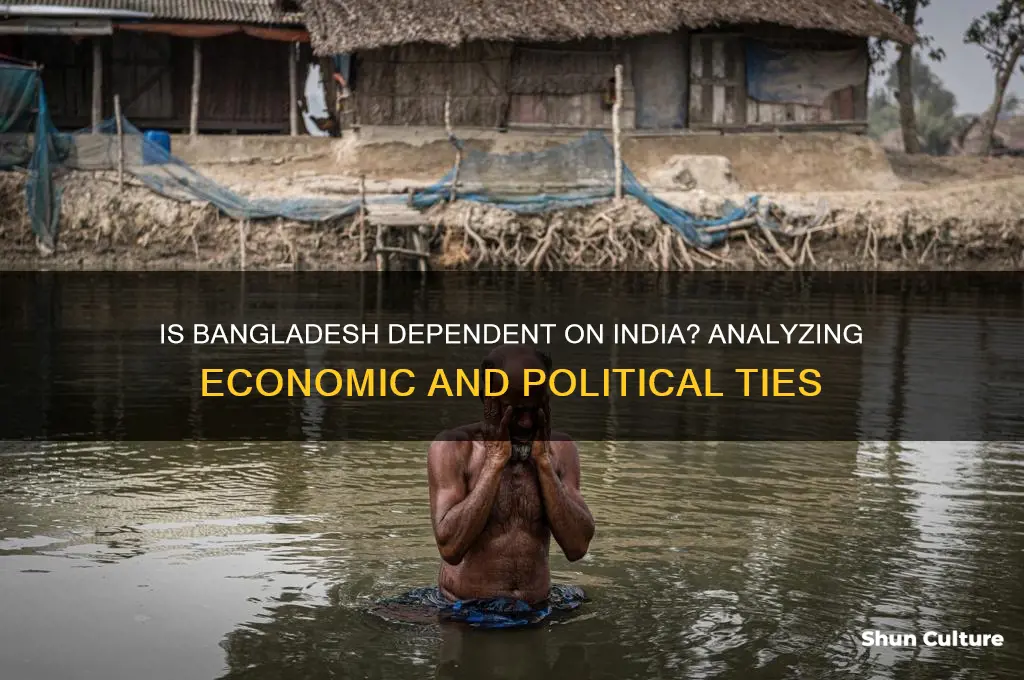 is bangladesh dependent on india