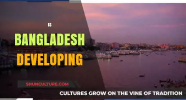 Bangladesh's Development Journey: Progress, Challenges, and Future Prospects